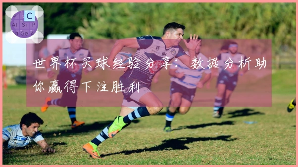 世界杯买球经验分享：数据分析助你赢得下注胜利