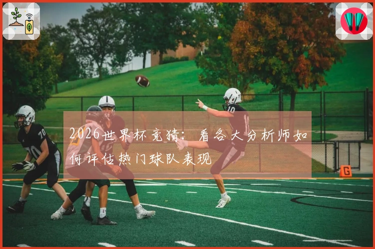 2026世界杯竞猜：看各大分析师如何评估热门球队表现