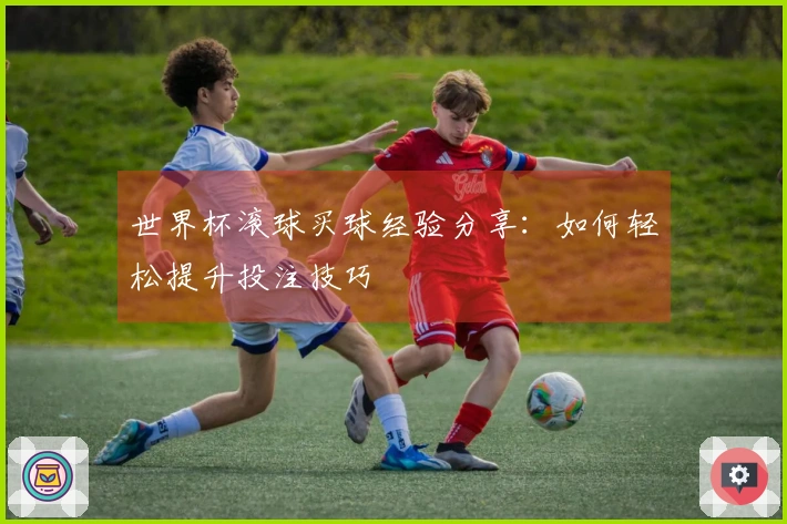 世界杯滚球买球经验分享：如何轻松提升投注技巧