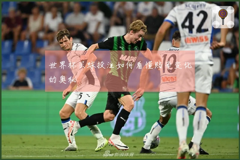 世界杯买球投注如何看懂赔率变化的奥秘