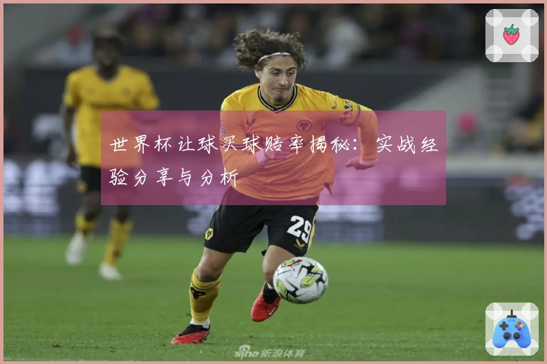 世界杯让球买球赔率揭秘：实战经验分享与分析