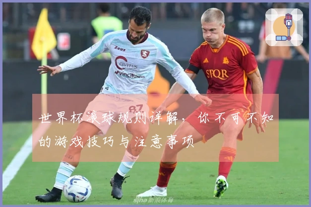 世界杯滚球规则详解，你不可不知的游戏技巧与注意事项