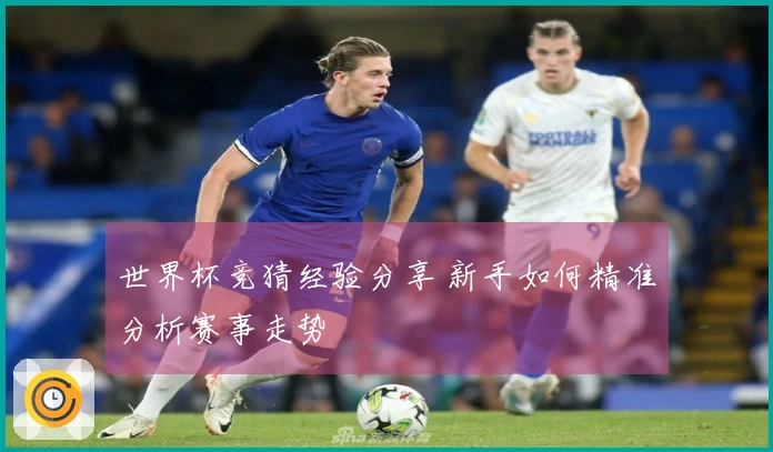 世界杯竞猜经验分享 新手如何精准分析赛事走势