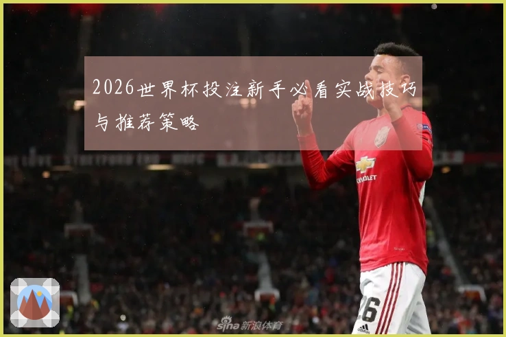 2026世界杯投注新手必看实战技巧与推荐策略