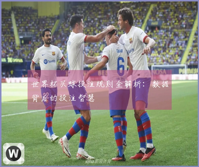 世界杯买球投注规则全解析：数据背后的投注智慧
