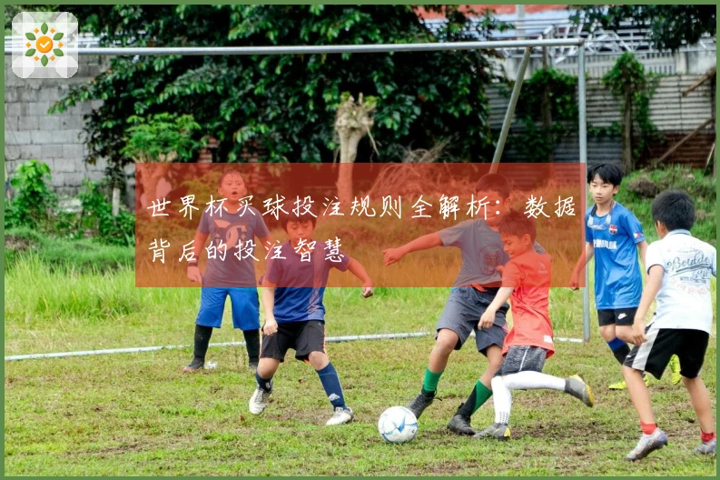 世界杯买球投注规则全解析：数据背后的投注智慧