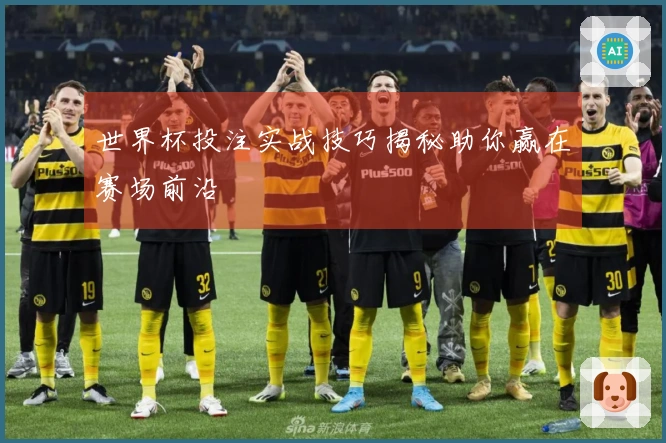 世界杯投注实战技巧揭秘助你赢在赛场前沿