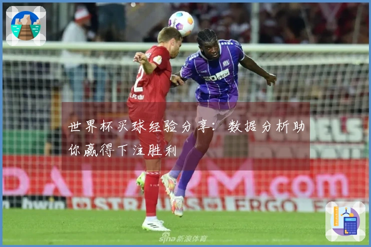 世界杯买球经验分享:数据分析助你赢得下注胜利