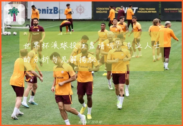 世界杯滚球投注靠谱吗?专业人士的分析与见解揭秘