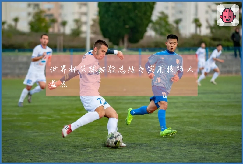 世界杯买球经验总结与实用技巧大盘点