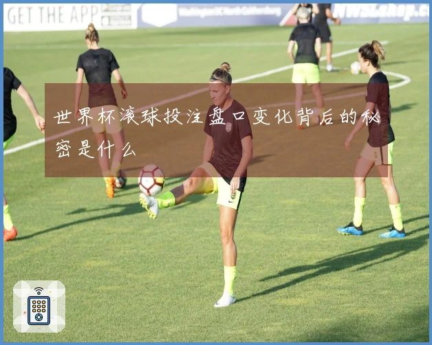 世界杯滚球投注盘口变化背后的秘密是什么