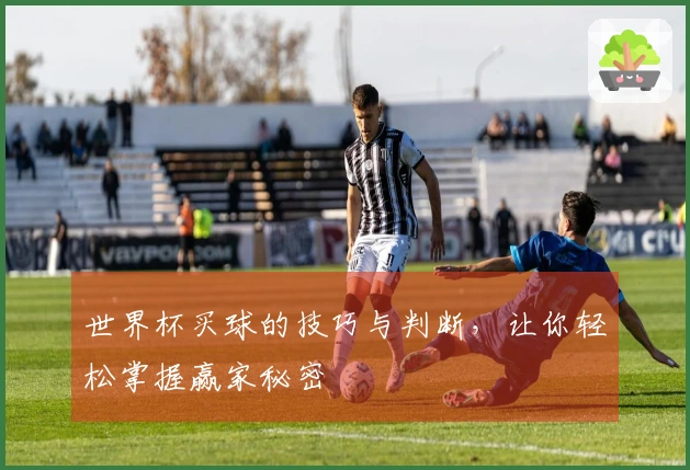 世界杯买球的技巧与判断，让你轻松掌握赢家秘密
