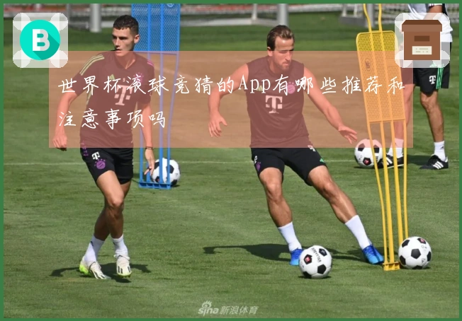 世界杯滚球竞猜的App有哪些推荐和注意事项吗